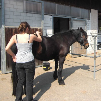 Pony-2-011
