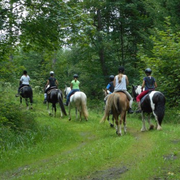 Reiterferien auf der CV Ponyfarm 2016 - 002
