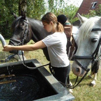 Reiterferien auf der CV Ponyfarm 2016 - 008