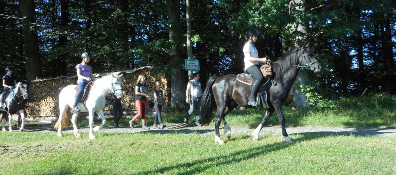 Reiterferien auf der CV Ponyfarm 2016 - 010