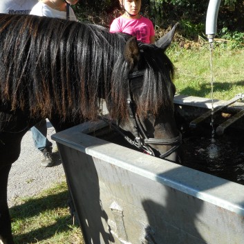 Reiterferien auf der CV Ponyfarm 2016 - 011