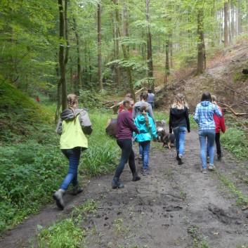 Reiterferien auf der CV Ponyfarm 2016 - 016