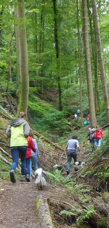 Reiterferien auf der CV Ponyfarm 2016 - 017a