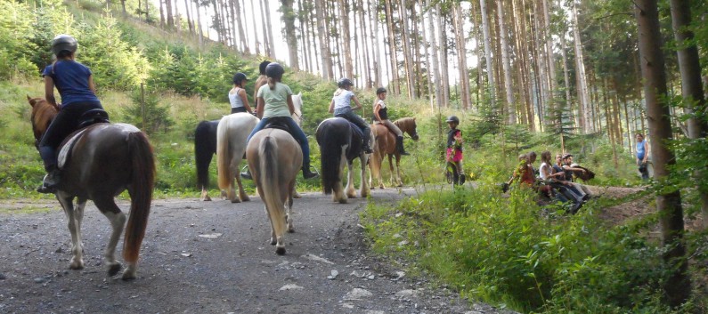 Reiterferien auf der CV Ponyfarm 2016 - 029