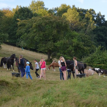 Reiterferien auf der CV Ponyfarm 2016 - 031b