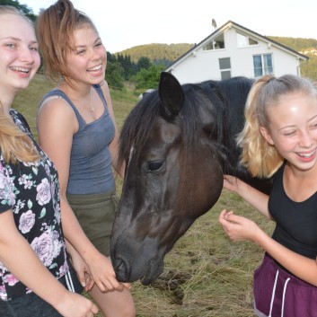 Reiterferien auf der CV Ponyfarm 2016 - 031e