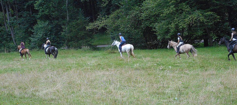 Reiterferien auf der CV Ponyfarm 2016 - 041