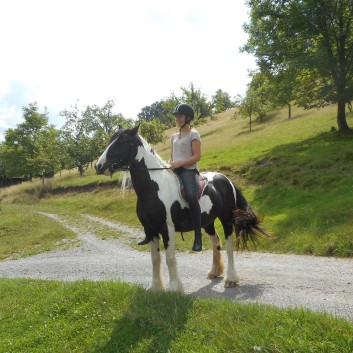 Reiterferien auf der CV Ponyfarm 2016 - 051