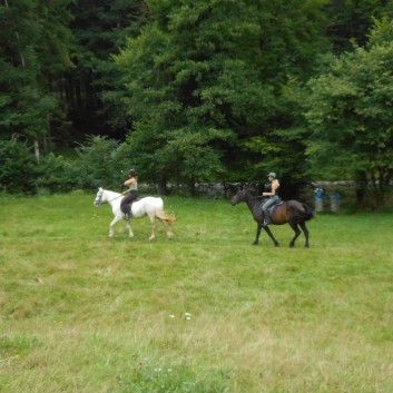 Reiterferien auf der CV Ponyfarm 2016 - 052