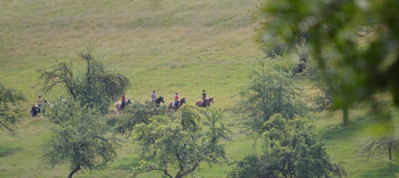 Reiterferien auf der CV Ponyfarm 2016 - 052a