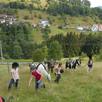 Reiterferien auf der CV Ponyfarm 2016 - 053