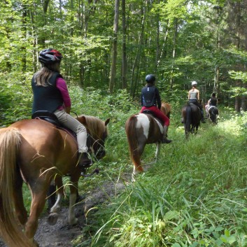 Reiterferien auf der CV Ponyfarm 2016 - 056