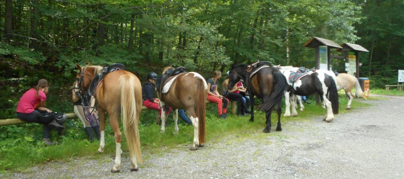 Reiterferien auf der CV Ponyfarm 2016 - 057