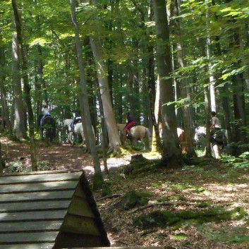 Reiterferien auf der CV Ponyfarm 2016 - 058