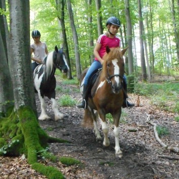 Reiterferien auf der CV Ponyfarm 2016 - 061