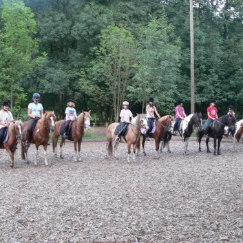 Reiterferien der CV-Ponyfarm Sommer 2005