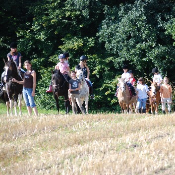 Reitkurs August 2008