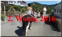 Schaltflaeche zweite Woche 2016