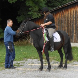 Startbild - Turnierteilnahme der CV-Ponyfarm 2013-02