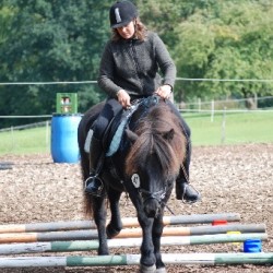 Startbild Gelnderallye 2008 - CV Ponyfarm
