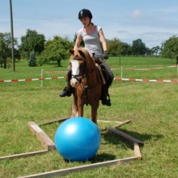 Startbild Gelnderallye 2011 - CV Ponyfarm