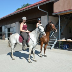 Startbild Gelnderallye 2013 - CV Ponyfarm