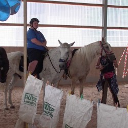 Startbild Gelnderallye 2014 - CV Ponyfarm