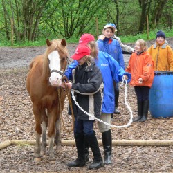 Startbild Interne Turnier 2005 - CV Ponyfarm neu