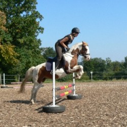 Startbild Interne Turnier 2007 - CV Ponyfarm