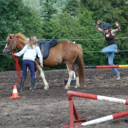 Startbild Interne Turnier 2009 - CV Ponyfarm