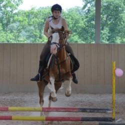 Startbild Interne Turnier 2015 - CV Ponyfarm