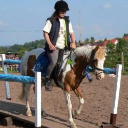 Startbild Turnier Steinbach 2005 - CV Ponyfarm