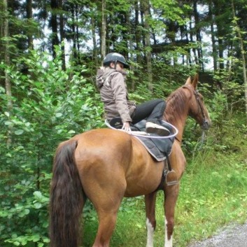 Stop 1 - Hinterbuechelberger Gelaenderallye 2012 - 06