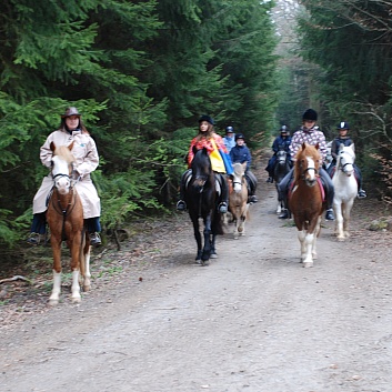 Tagesritt_der_CV-Ponyfarm_April_2012