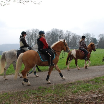 Tagesritt der CV-Ponyfarm April 2012 - 12
