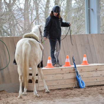 Trailtag der CV Ponyfarm 2013 - 11
