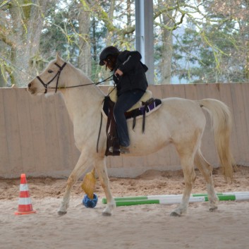Trailtag der CV Ponyfarm 2013 - 16