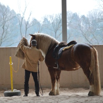 Trailtag der CV Ponyfarm 2013 - 18