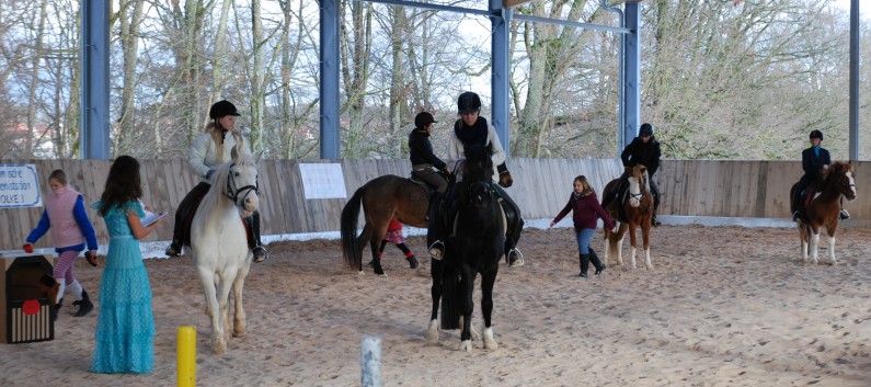 Weihnachtsfeier 2012 auf der CV-Ponyfarm 08