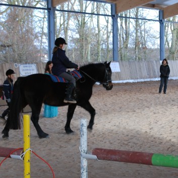 Weihnachtsfeier 2012 auf der CV-Ponyfarm 11