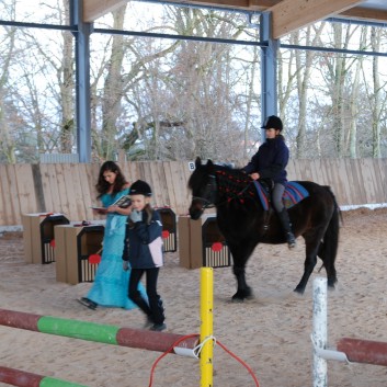 Weihnachtsfeier 2012 auf der CV-Ponyfarm 12