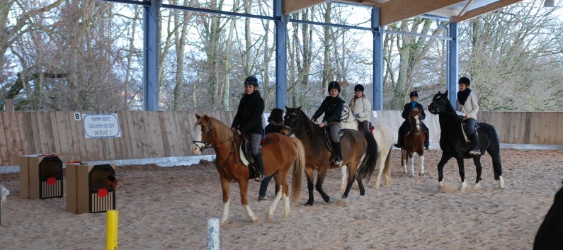 Weihnachtsfeier 2012 auf der CV-Ponyfarm 13