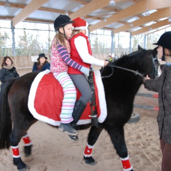 Weihnachtsfeier 2012 auf der CV-Ponyfarm 14