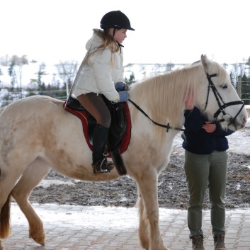 Weihnachtsfeier 2012 auf der CV-Ponyfarm 19
