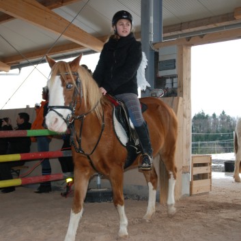 Weihnachtsfeier 2012 auf der CV-Ponyfarm 20