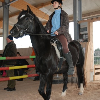 Weihnachtsfeier 2012 auf der CV-Ponyfarm 22