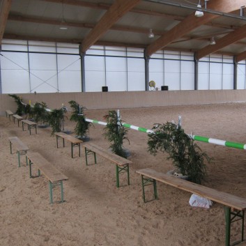 Weihnachtsfeier 2016 mit Ponys und Pferden 01