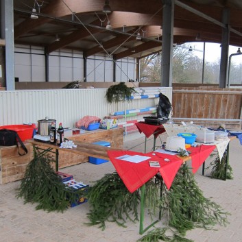 Weihnachtsfeier 2016 mit Ponys und Pferden 02