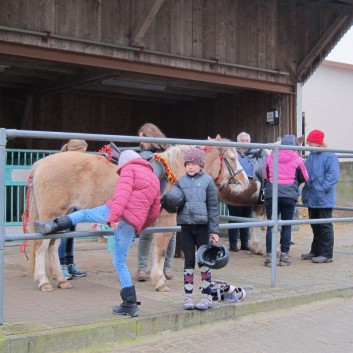Weihnachtsfeier 2016 mit Ponys und Pferden 06