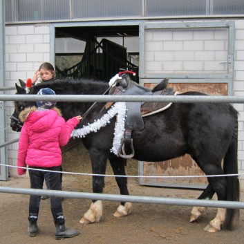 Weihnachtsfeier 2016 mit Ponys und Pferden 08